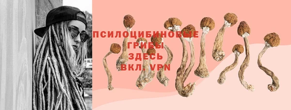 прущие крисы Алексеевка
