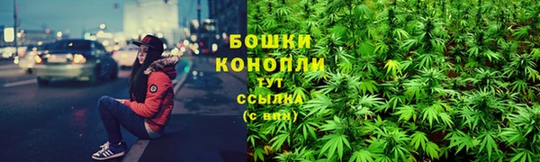 твердый Снежногорск