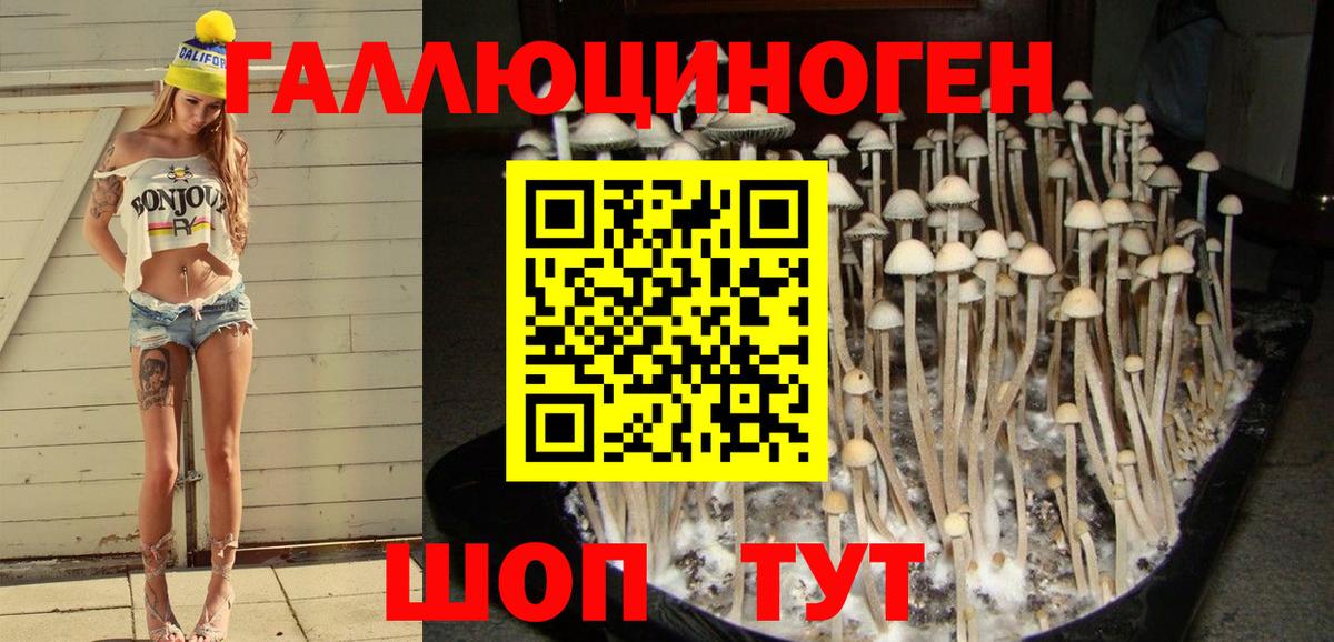 Псилоцибиновые грибы мицелий  Вход с VPN  купить наркотики сайты  Мирный 